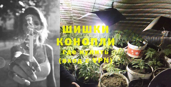 экстази Арсеньев