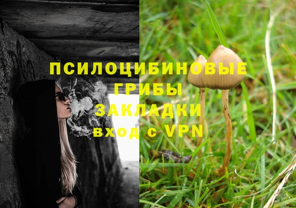 дмт Баксан