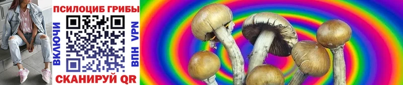 Псилоцибиновые грибы MAGIC MUSHROOMS  Черняховск 